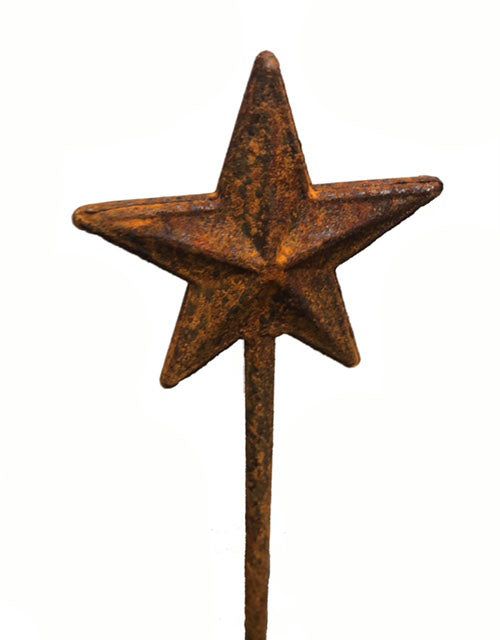 STAR PLANT PIN   (pack of 3)