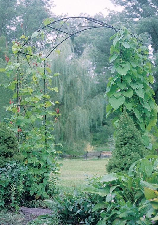 Monet Garden Arch  - inc Ground Spikes