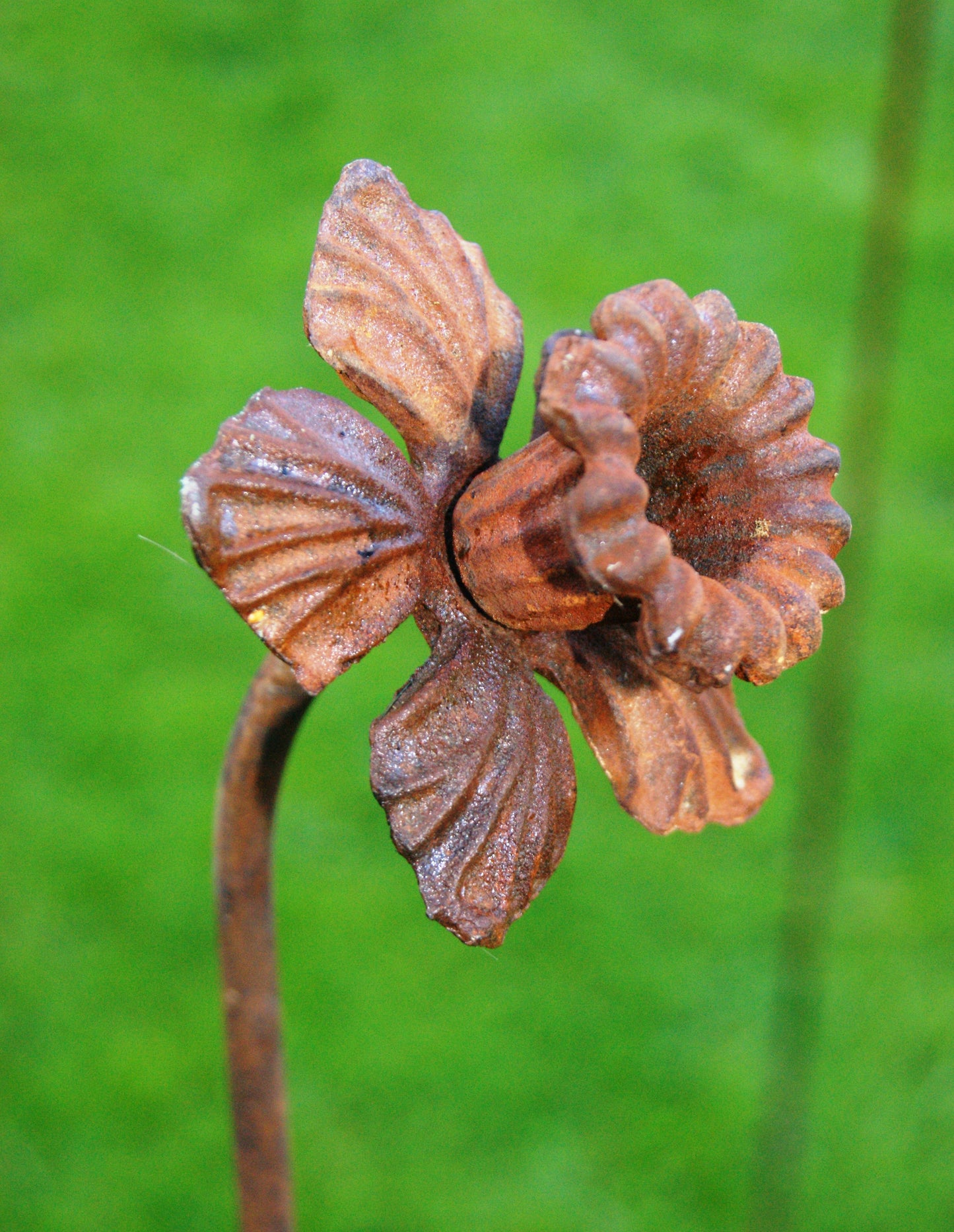 DAFFODIL FEATURE PLANT PIN - Ready to Rust