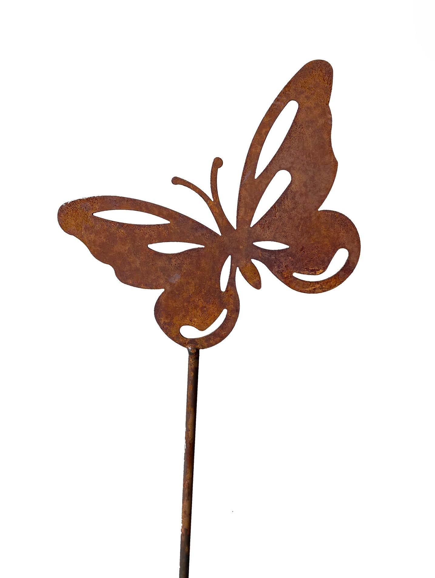 BUTTERFLY PIN  (pack of 3)